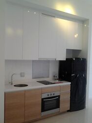 Boathouse Residences (D19), Condominium #610733101